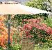 GARDEN FURNITURE - Parasols