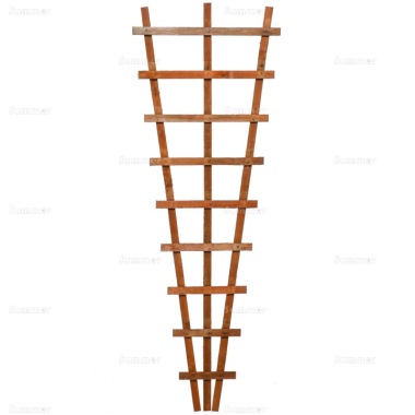 Fence Panel 213 - Fan Trellis, FSC® Certified